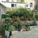 서전안경원 이미지