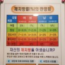 강쌤점핑허브다이어트