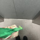 11650-1-10-692 | [후쿠오카 일상] D+691~692_마지막 하카타항 벼룩시장, 하코자키 망가소코, 추성훈 스테이크 <토이치>