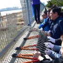 해안물양장 이미지