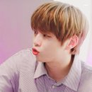 아이스크림 유니버스 이미지