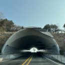 진도] 진도 쏠비치 리조트 패밀리 클린, 조식부터 겨울 인피니티풀, 사우나까지 자세한 후기/신비의 바닷길