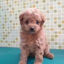 서부북로 이미지