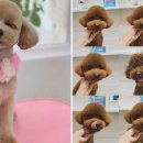 어서왈왈 이미지