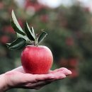 양포초등학교 이미지