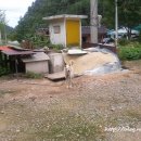 농부네 텃밭 민박 이미지