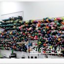 두리수선 - 세종특별자치시 도움1로 106 | 두리수선