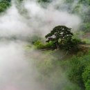 도시의 생활과 달리,이웃 친지과 함께 살고픈 이들을 찿아서 지리산 뱀산골,장성 천진암,만인산,홍천의 서곡마을로 떠나는 한국 기행(EBS,5/21~5/25, 9시30분) 이미지