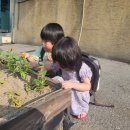 에코i숲어린이집 이미지