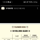 데일리 케어 네이버블로그