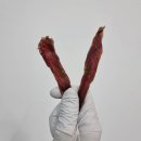 202펫푸드 이미지