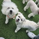 멍스 스쿨 이미지