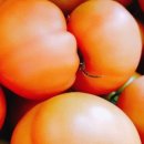 오빠야농장 이미지