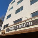 용산-241 | [공지] 용산역 베이커리 카페 왓어브레드 두쫀쿠 내돈내산 솔직후기