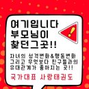 사랑태권도 이미지