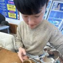 도미진낙곱새 이미지