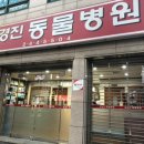 오래오래동물병원 이미지