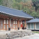 완도18호 이미지