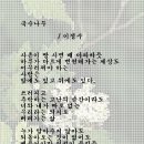 국수나무 이미지