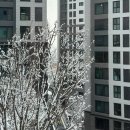 즐겁게일하는노무사 | 알차게 1분기 마무리
