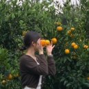 삼남매목장 2 이미지