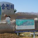 송천떡마을영농조합법인 이미지