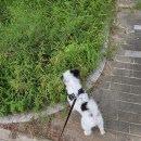 16 | 서울 구로구 오류동 행복주택 / 16형 LH행복주택 거주 후기 / 퇴거를 앞두고