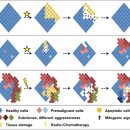 Re:Re: How cell death shapes cancer - nature review 논문 이미지