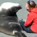 Sympathies between animals and humans 이미지