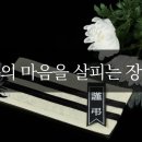 협동장의사 네이버블로그