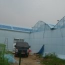 기태농장 이미지