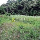 파주시청소년수련장 이미지