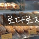로다로지 이미지