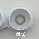 윙크렌즈스토어강릉점 | 링리스 렌즈 오브파이 문브라운 vs 문베이지 실착용 비교 후기[하파크리스틴X윙크 건대입구역점]