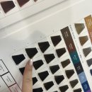 사임당로18길 7 (1) | 성수미용실 박준뷰티랩 성수퍼퓸점 건대역 애쉬브라운 염색 레이어드 컷 후기