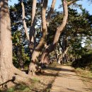 여인송빌리지 이미지