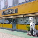 안양펫애견용품할인마트 | 안양애견용품 안양펫마트 안양강아지용품 안양고양이용품
