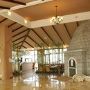 가나무로 이미지