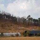 씨돌농장 이미지