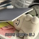 갈매기둥지