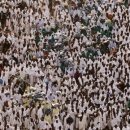 통신메카 이미지