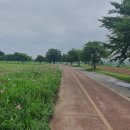 여강길(9코스 너른들길) 이미지