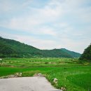 다시캠핑장 이미지
