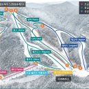 엘리시안 강촌 스키장 이미지