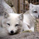 마리앤쥬 이미지