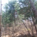 금대리828 이미지