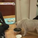 강보농장 네이버블로그