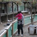 가은동물농장 이미지