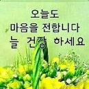 신동아파트 이미지