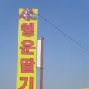 2행운농장 이미지